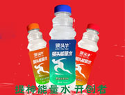 领头牛领头能量水500ml